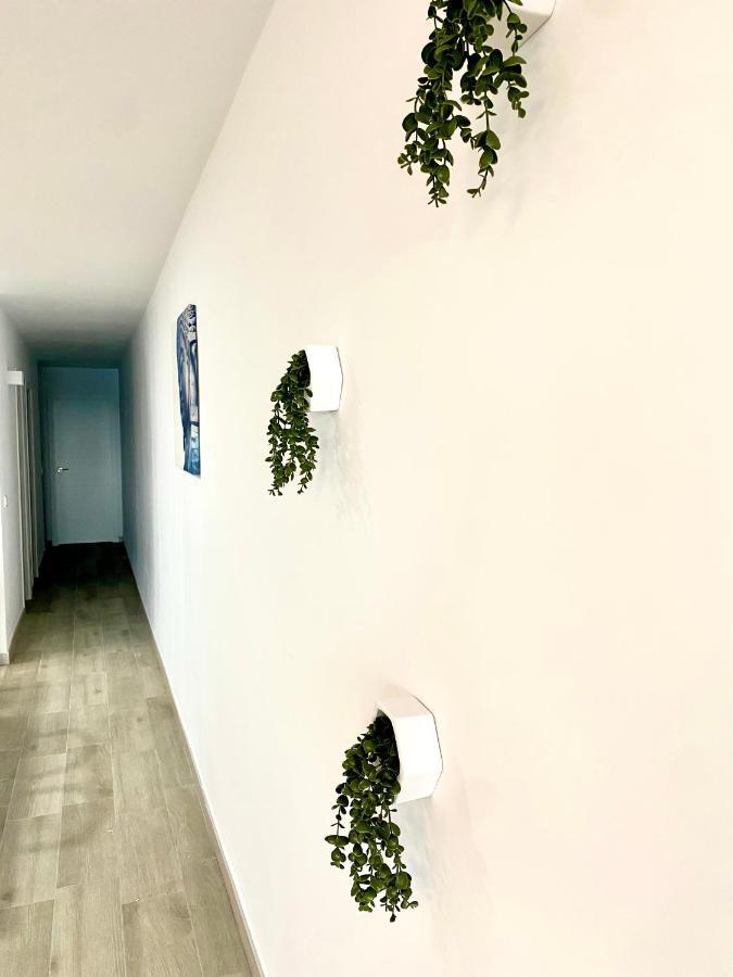 Apartament Blue House 1ª Linea Playa Torrevieja Zewnętrze zdjęcie