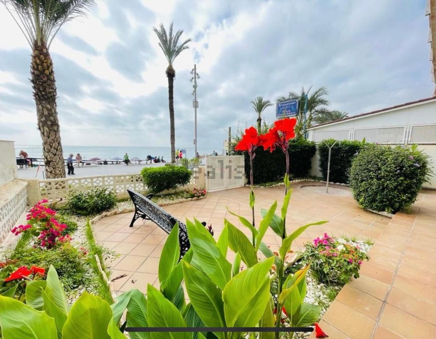 Apartament Blue House 1ª Linea Playa Torrevieja Zewnętrze zdjęcie